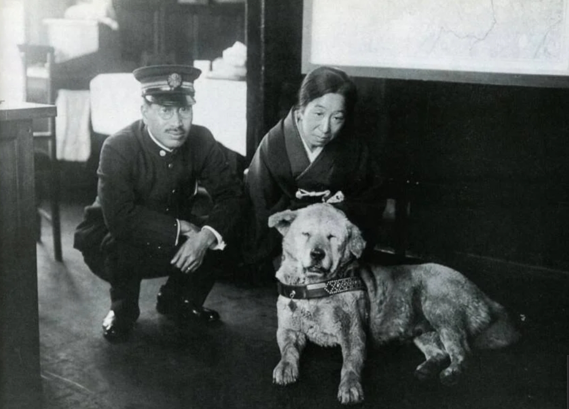 Действительно ли вы знаете историю легендарного пса Хатико? Эти факты вам точно неизвестны